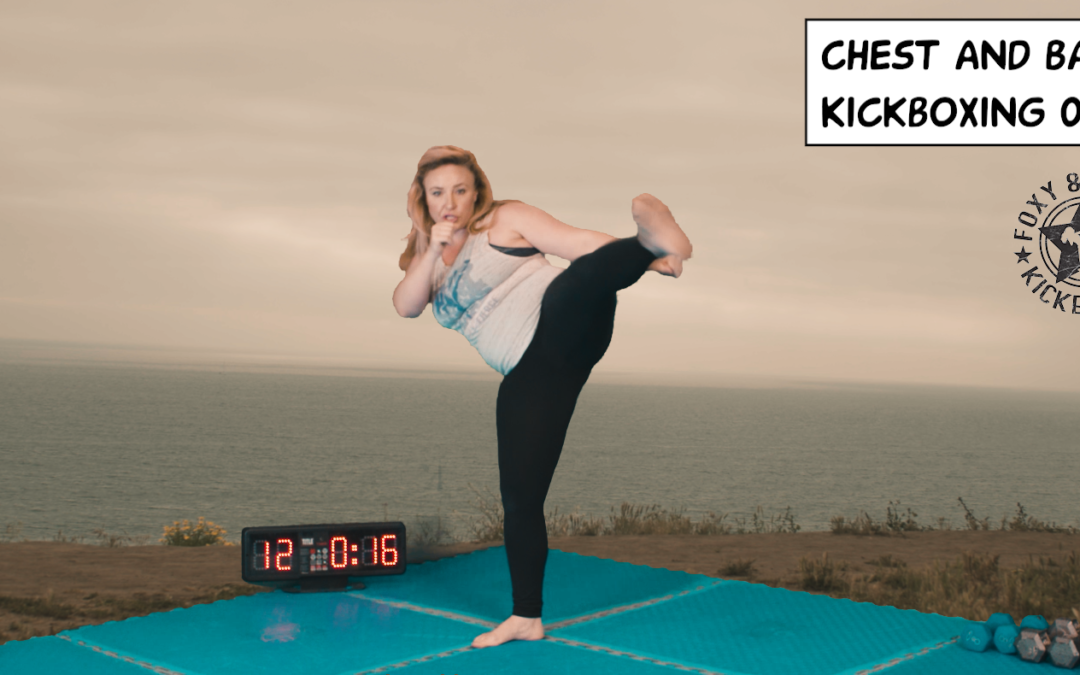 Chest, Back & Kickboxing 06